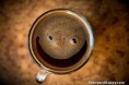 /album/nadherne-kreace-jidla/smiling-morning-coffee-for-you-jpg/
